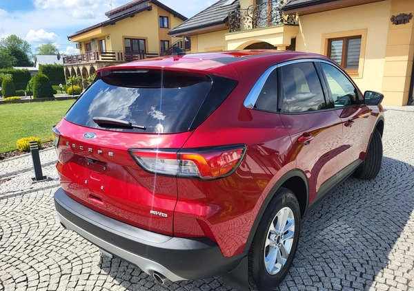 Ford Kuga cena 81999 przebieg: 18000, rok produkcji 2022 z Tarnów małe 631